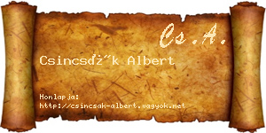 Csincsák Albert névjegykártya